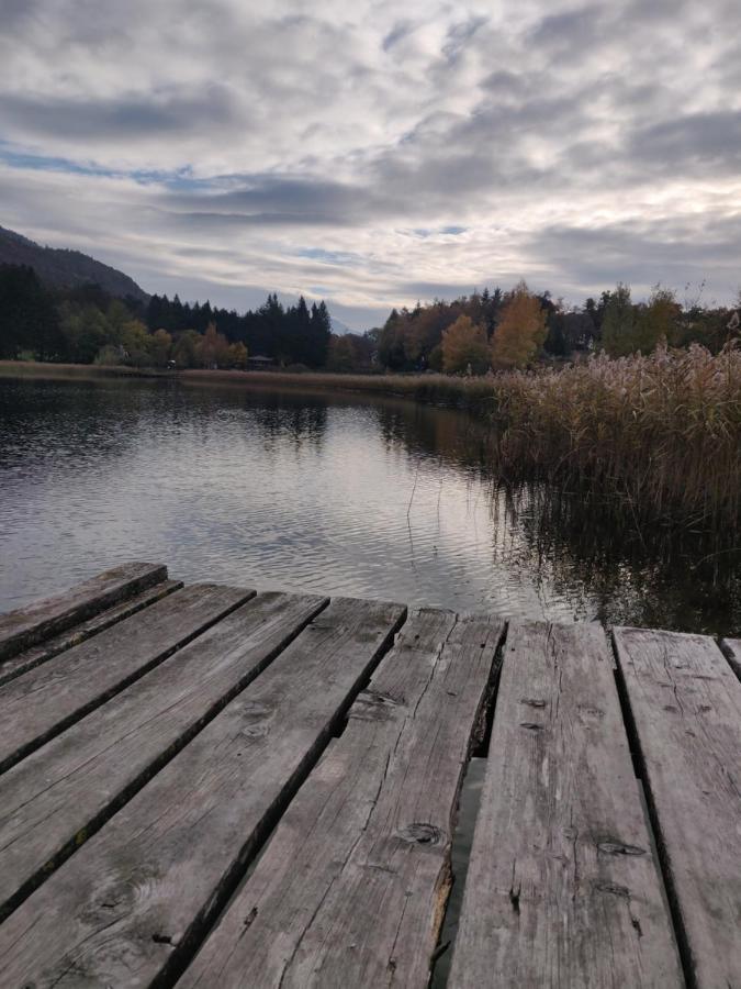 Apartament La Finestra Sul Brenta Lasino Zewnętrze zdjęcie