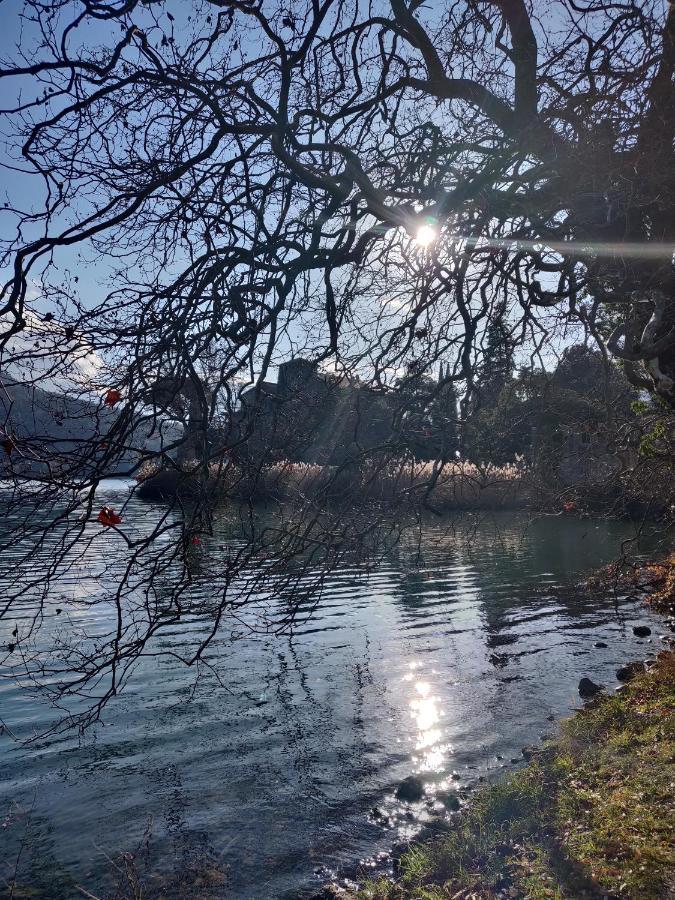 Apartament La Finestra Sul Brenta Lasino Zewnętrze zdjęcie