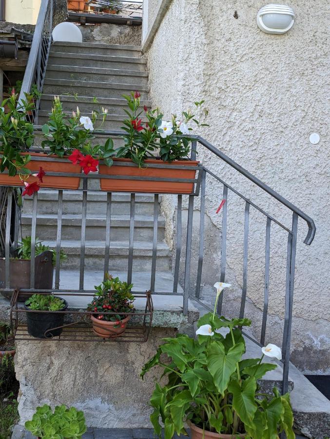 Apartament La Finestra Sul Brenta Lasino Zewnętrze zdjęcie